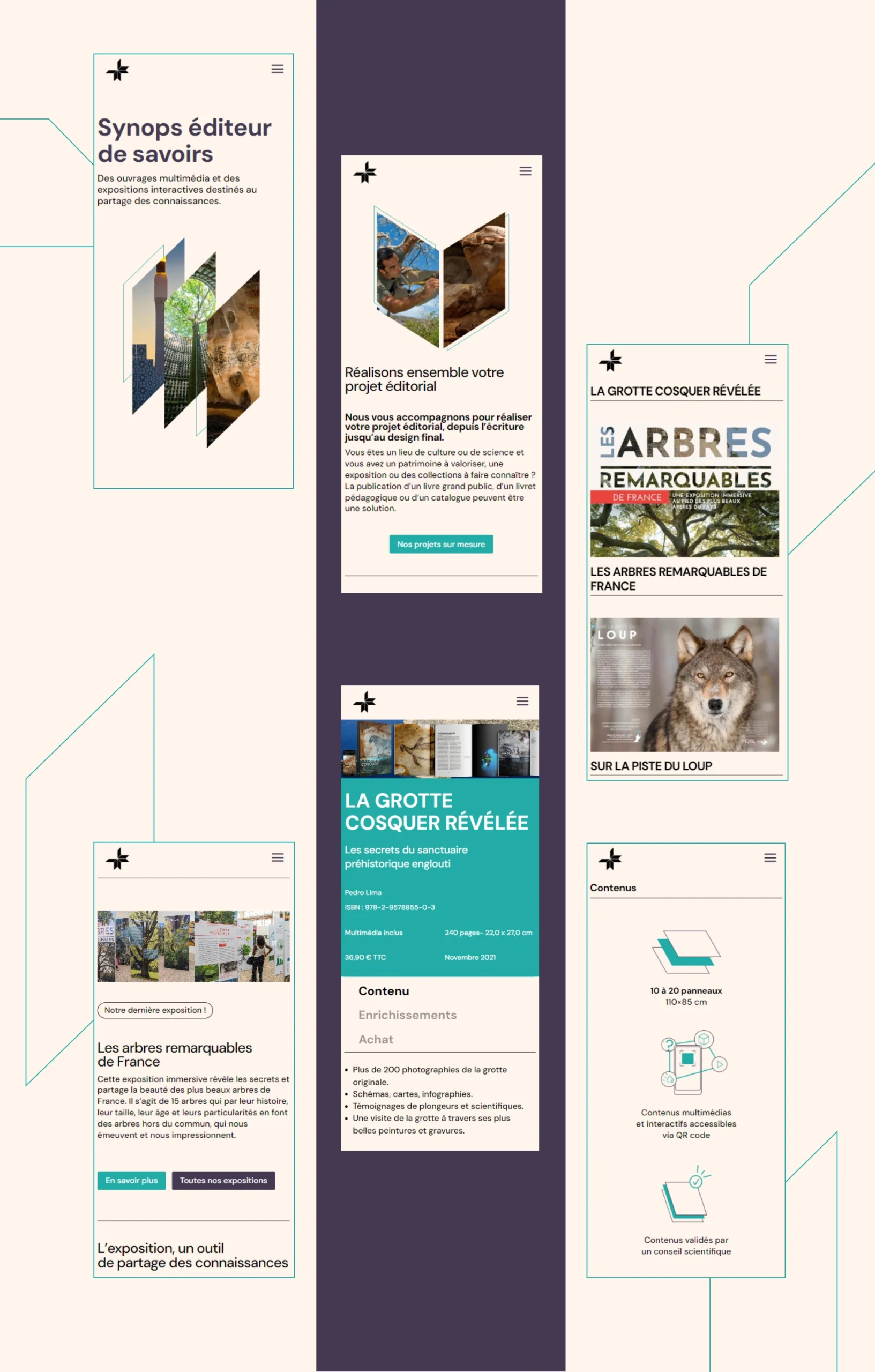 Présentation site fse